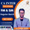 CA Inter Financial Management & Strategic Management (FM-SM) By CA Rahul Garg (New Syllabus)
